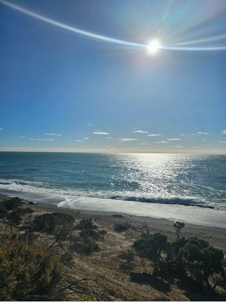 Playa El Doradillo Puerto Madryn avistaje ballenas desde la orilla